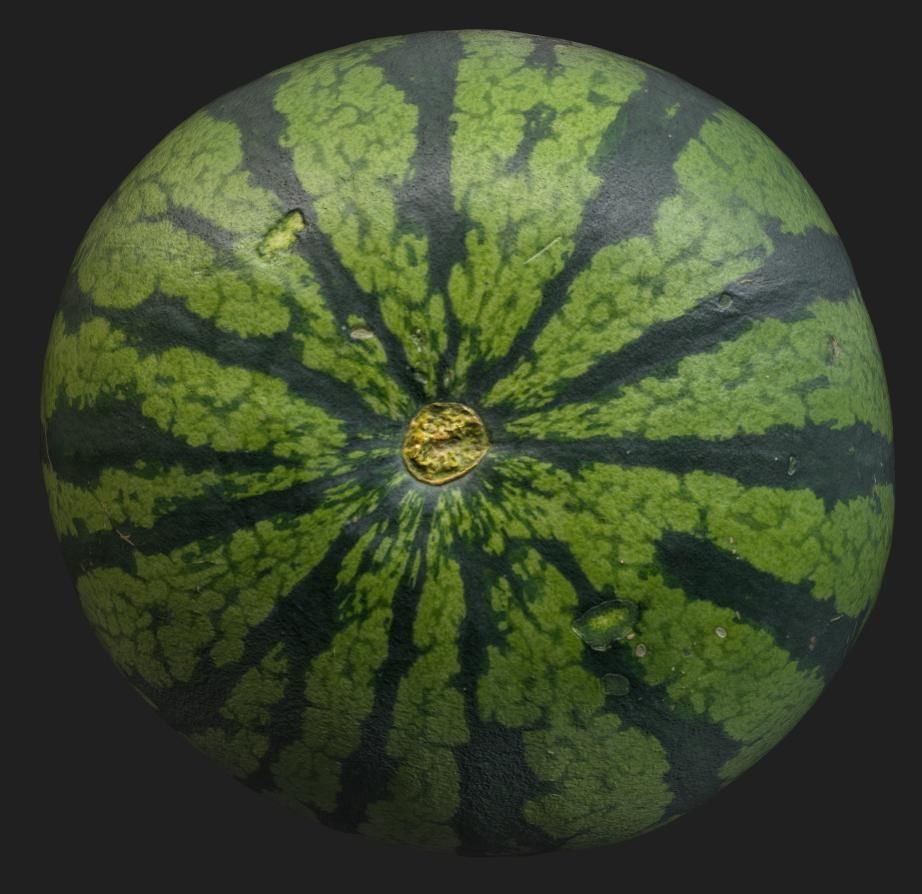 Watermelon Low-poly 3D model