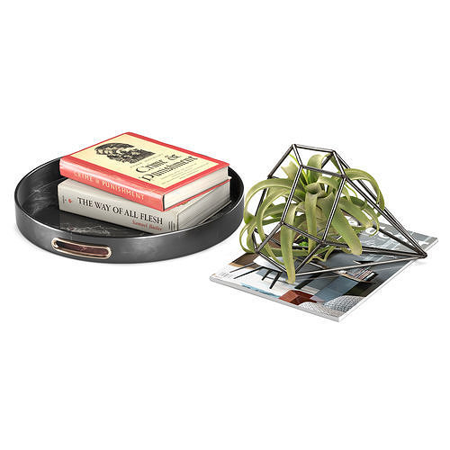 Faux Tillandsia Large Set 3D model