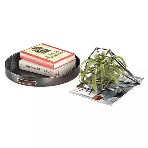 Faux Tillandsia Large Set 3D model