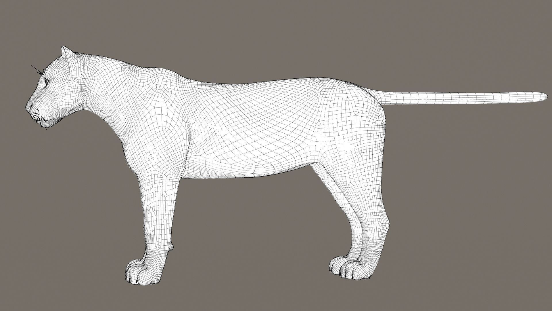 Jaguar fur Model 3D model_20