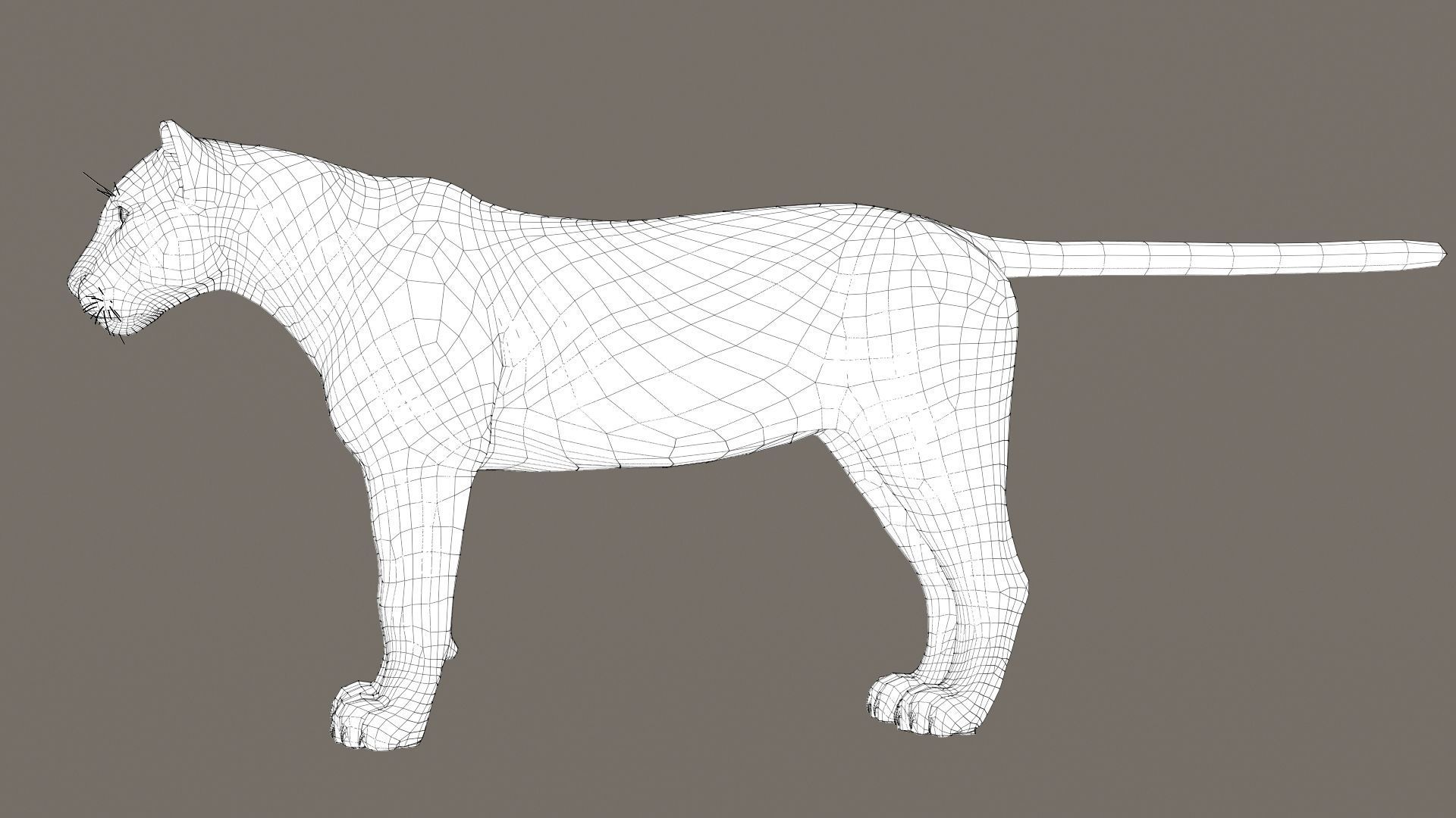 Jaguar fur Model 3D model_21
