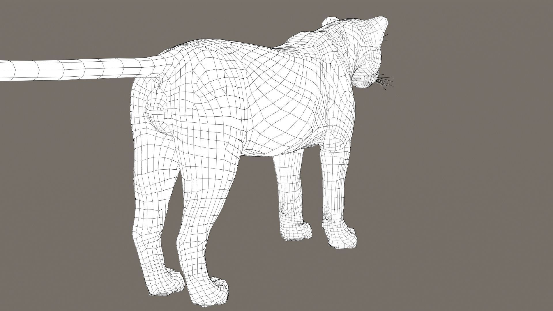 Jaguar fur Model 3D model_18