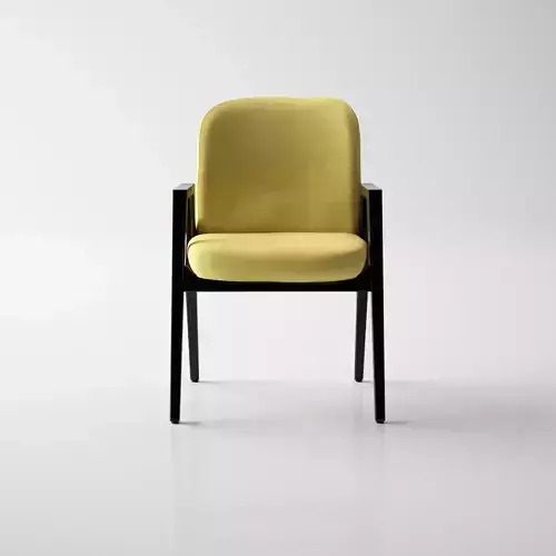 Dining Chair - High Quality Furniture 02