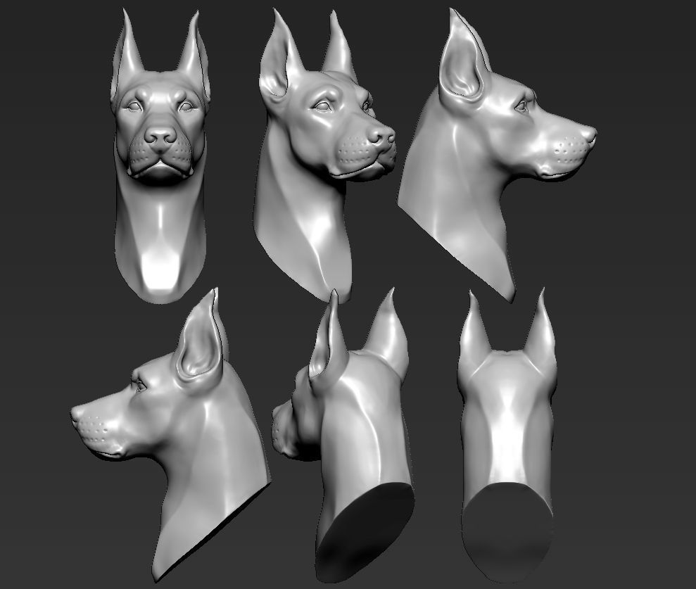 Doberman Head 3D print model_6