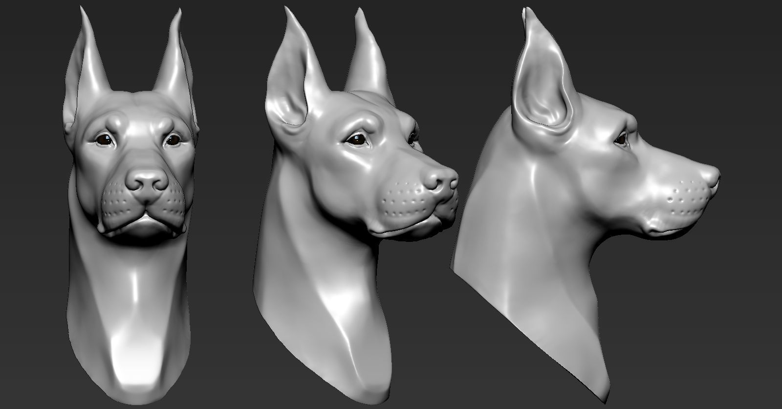 Doberman Head 3D print model_1