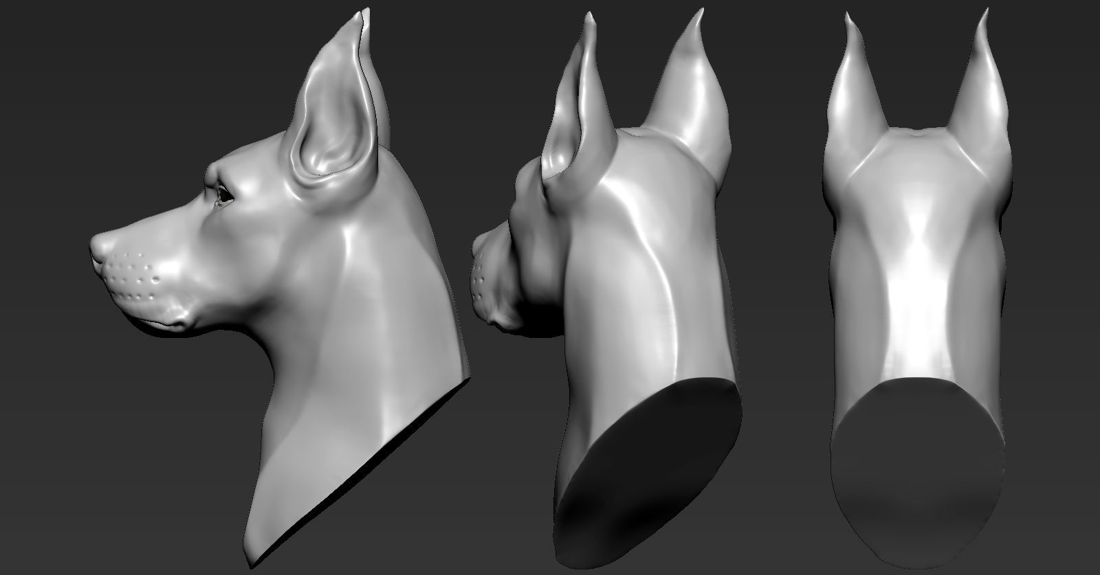 Doberman Head 3D print model_2