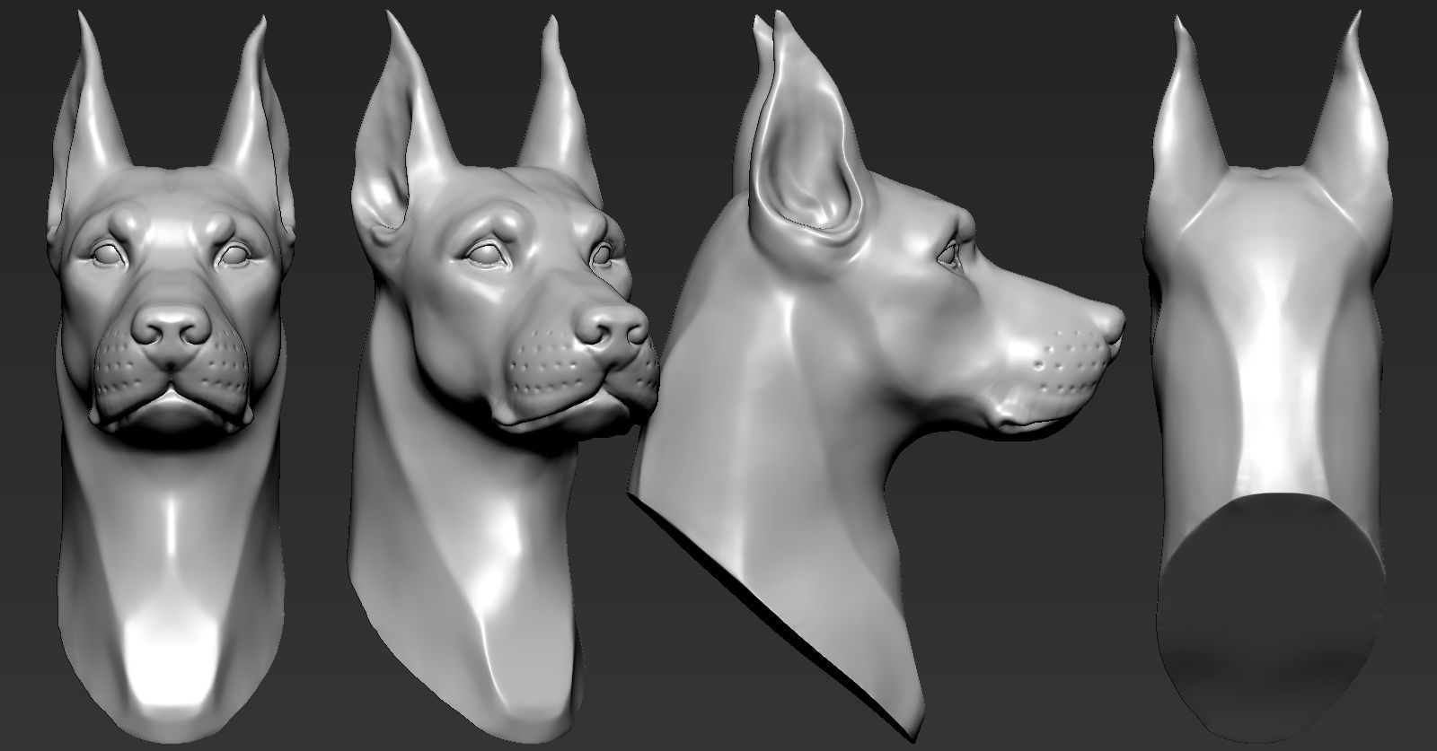 Doberman Head 3D print model_4