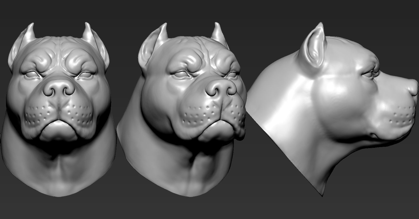 Pitbull three different colored dog heads 3D print model_5