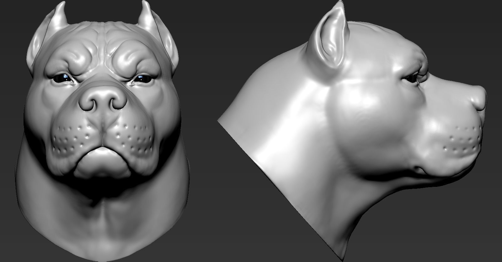 Pitbull three different colored dog heads 3D print model_2
