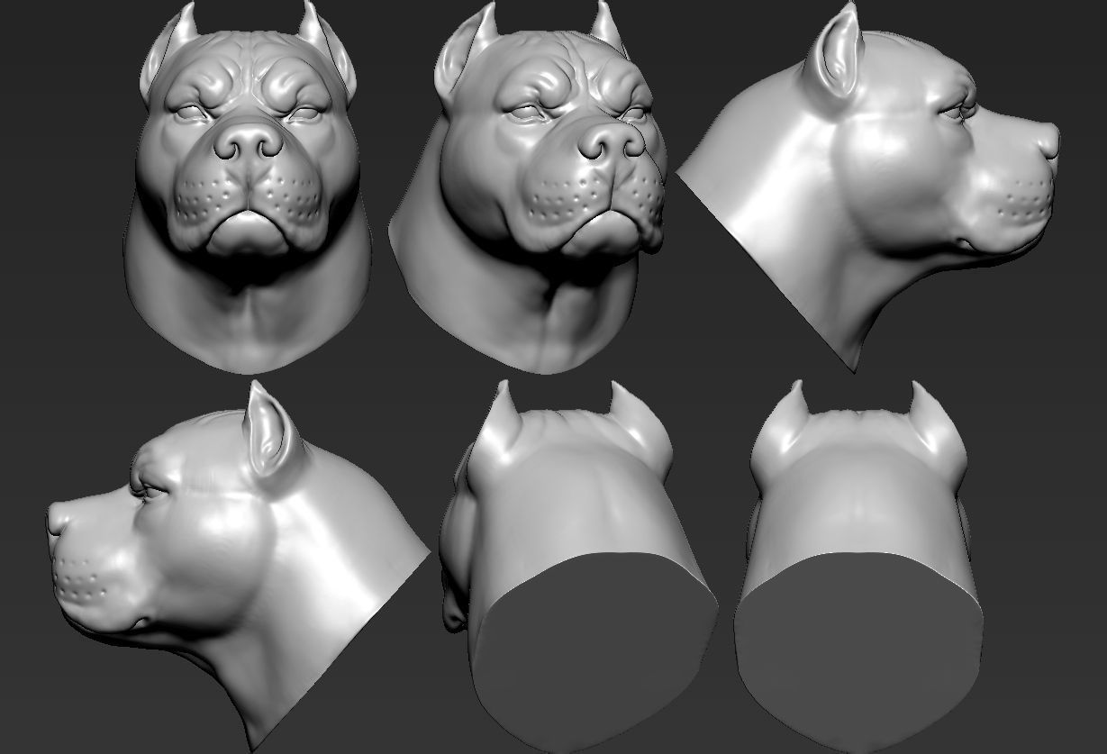 Pitbull three different colored dog heads 3D print model_7