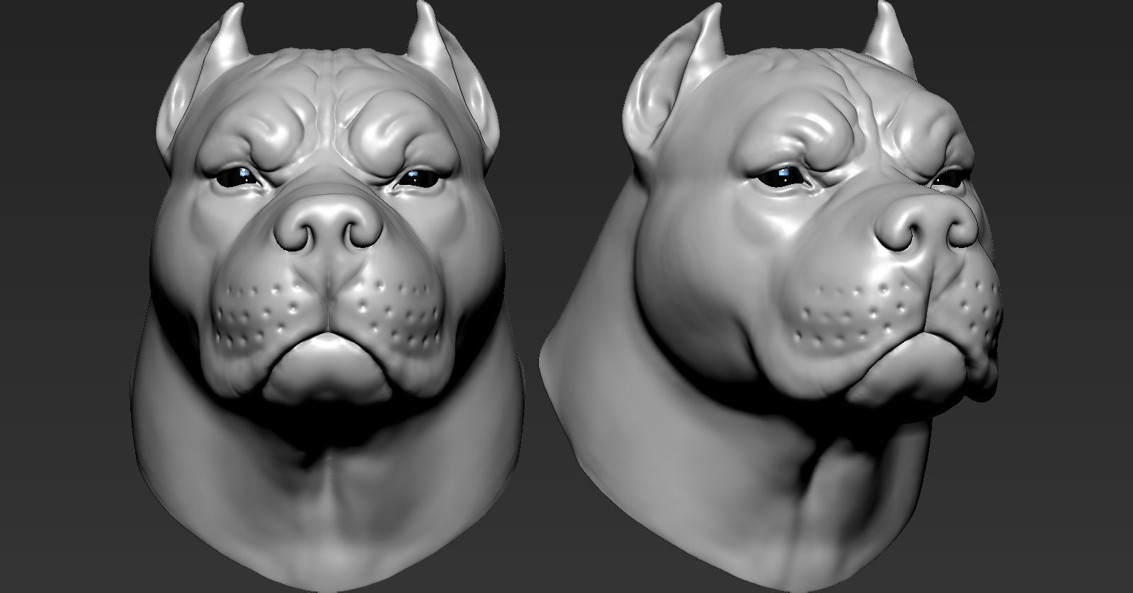 Pitbull three different colored dog heads 3D print model_1