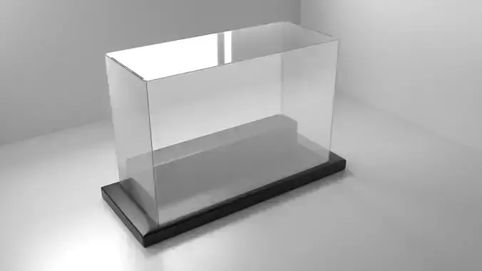 Acrylic Case 6