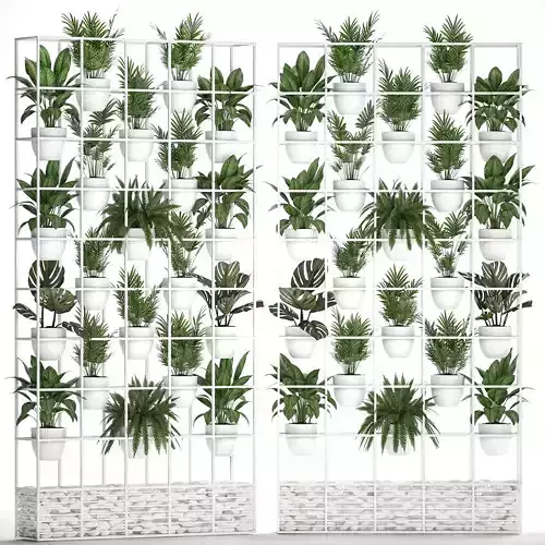 Plants collection Vertical gardening 26