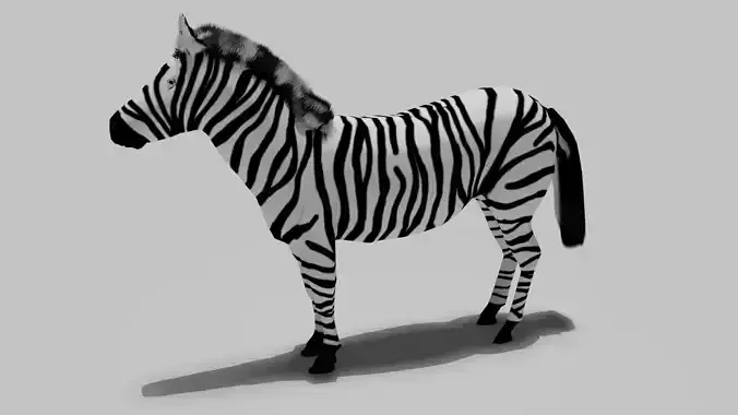 Zebra Free 3D model