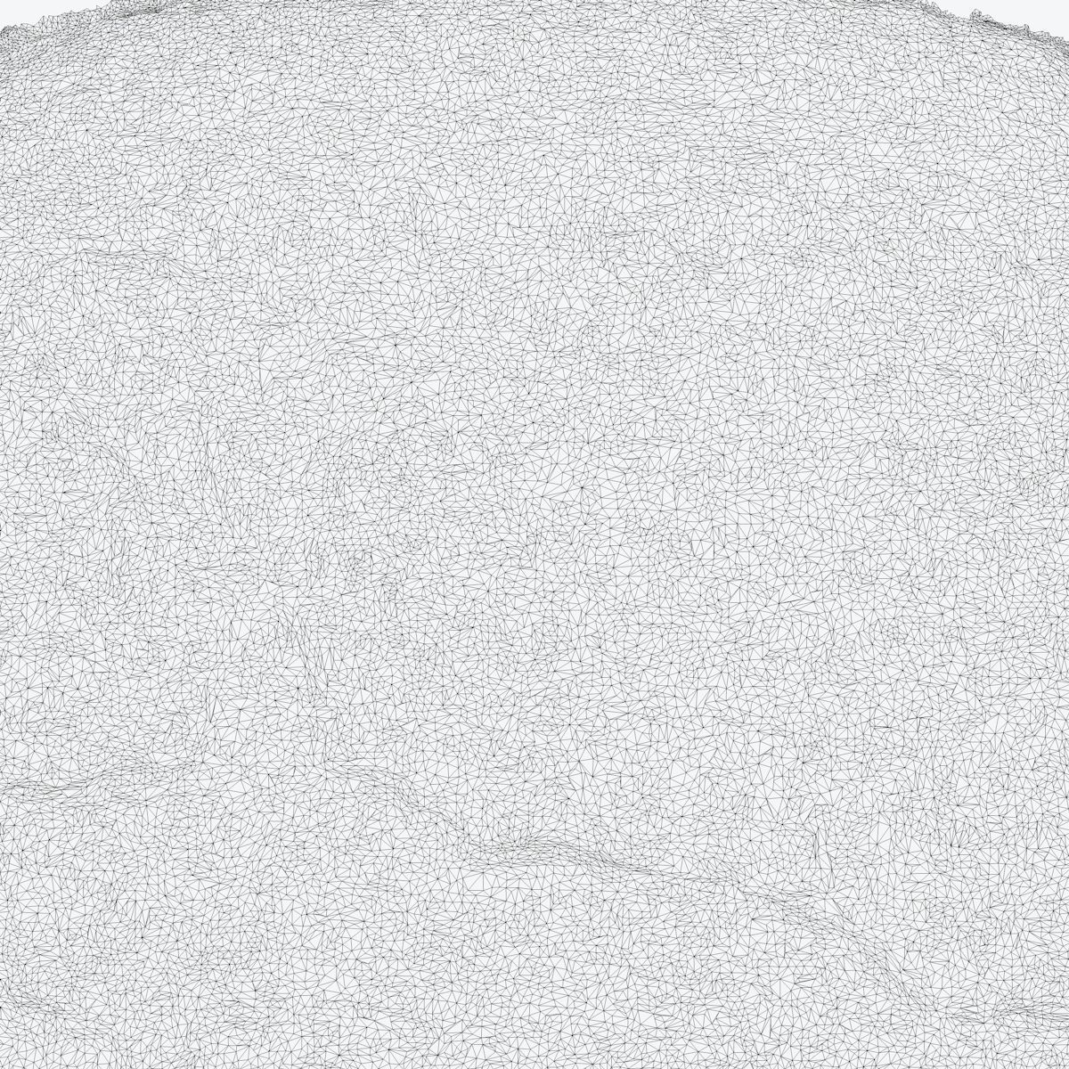 ASSYRIAN - MESHA STELE 3D model_18