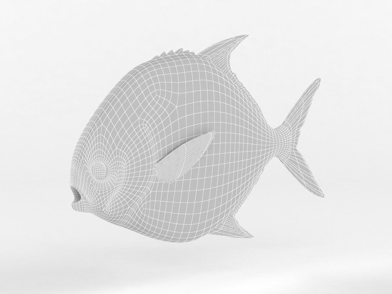 Pompano fish 3D model_8