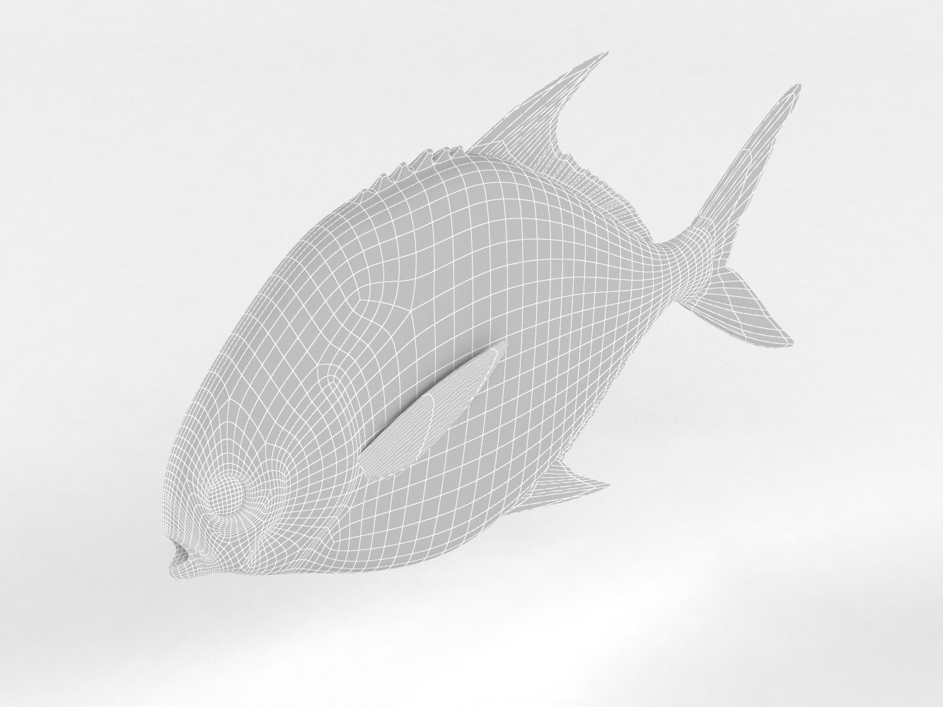 Pompano fish 3D model_10