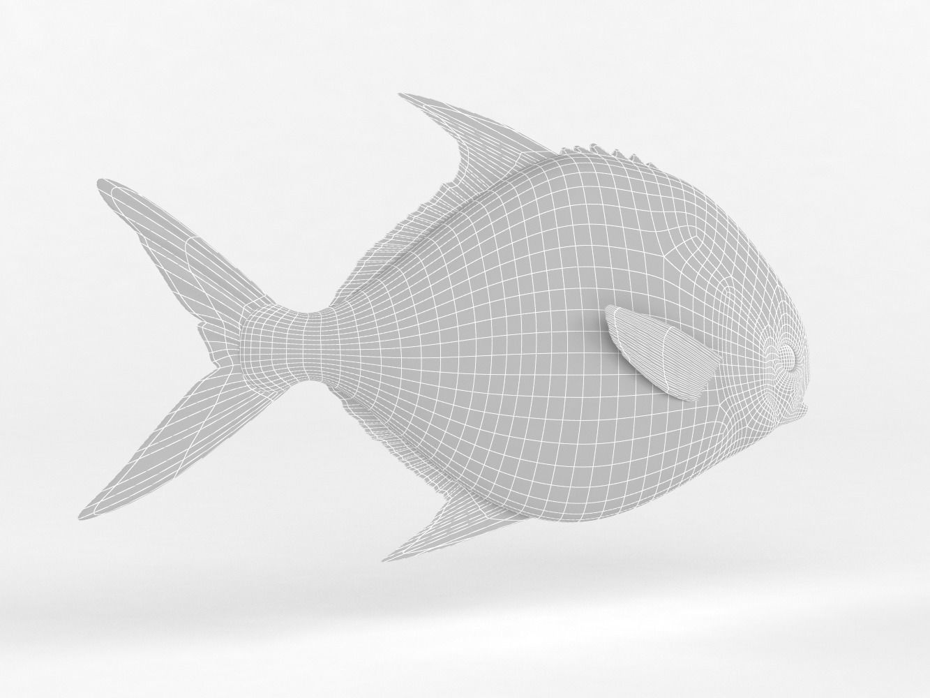 Pompano fish 3D model_9