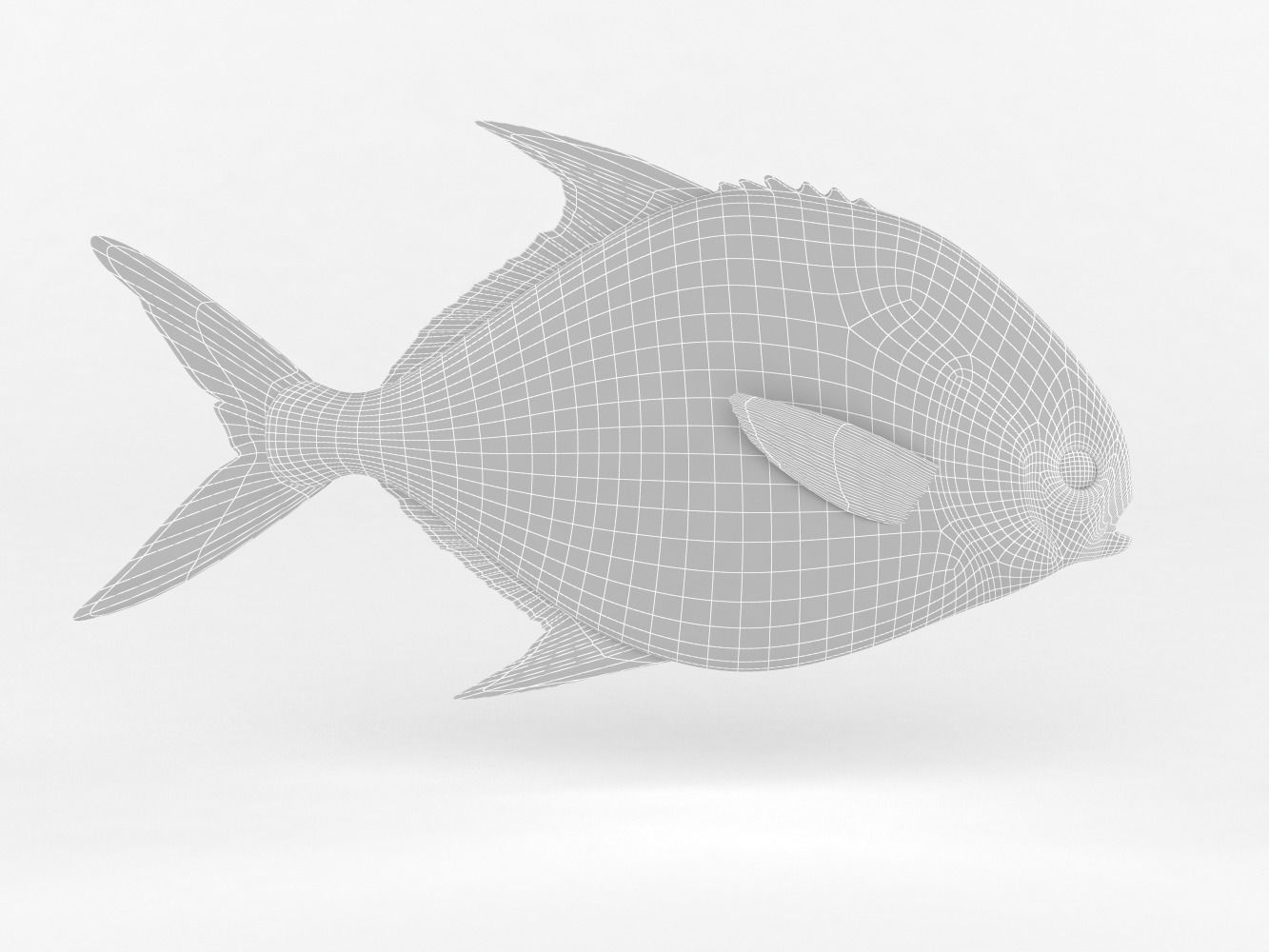 Pompano fish 3D model_6