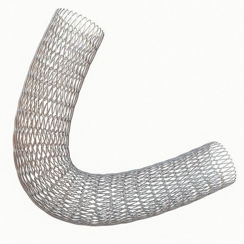 Medical Stent 3D model