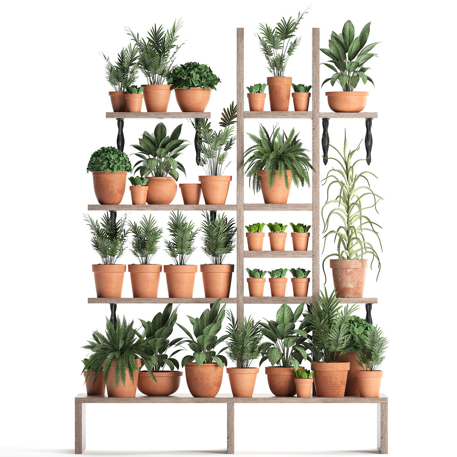 Plants collection Vertical gardening 27 3D model_1