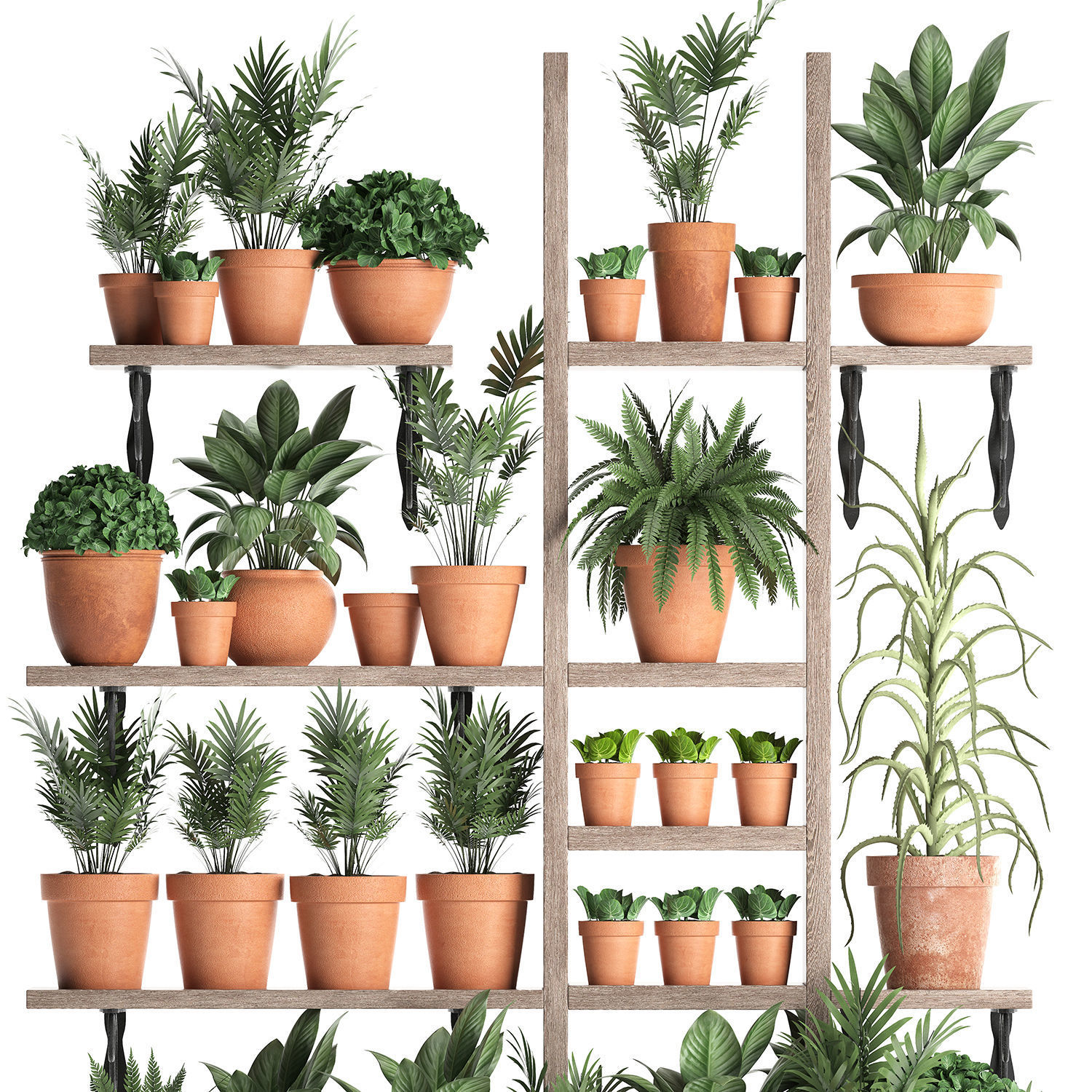 Plants collection Vertical gardening 27 3D model_3