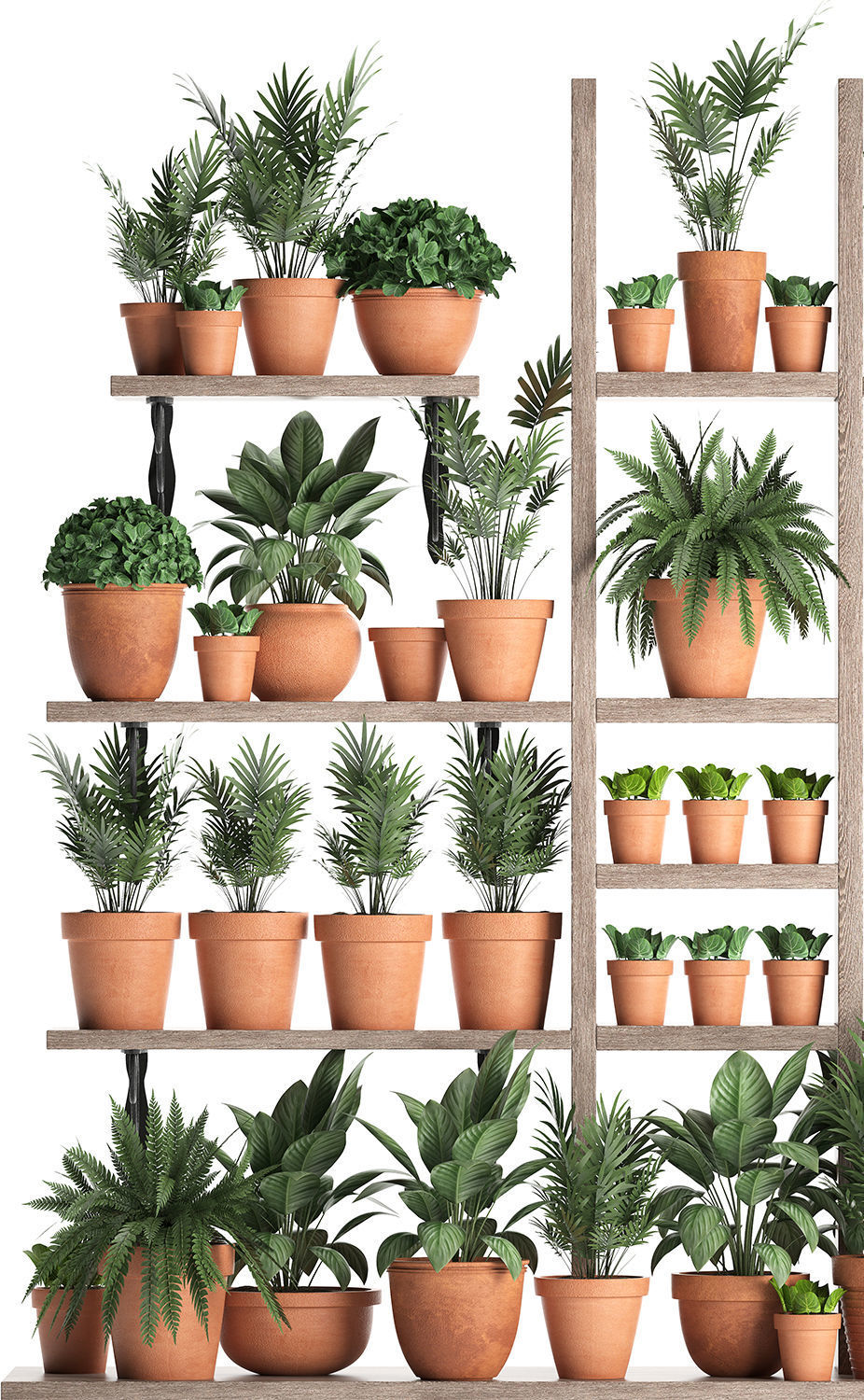 Plants collection Vertical gardening 27 3D model_5