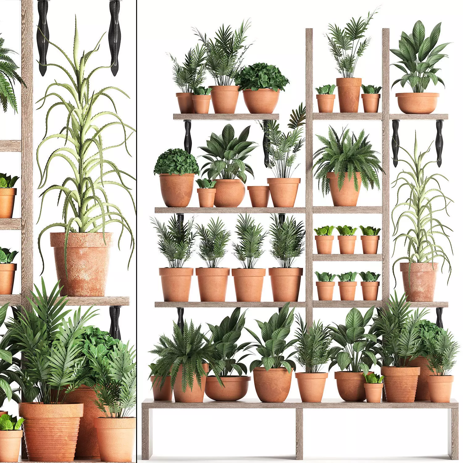 Plants collection Vertical gardening 27 3D model_0