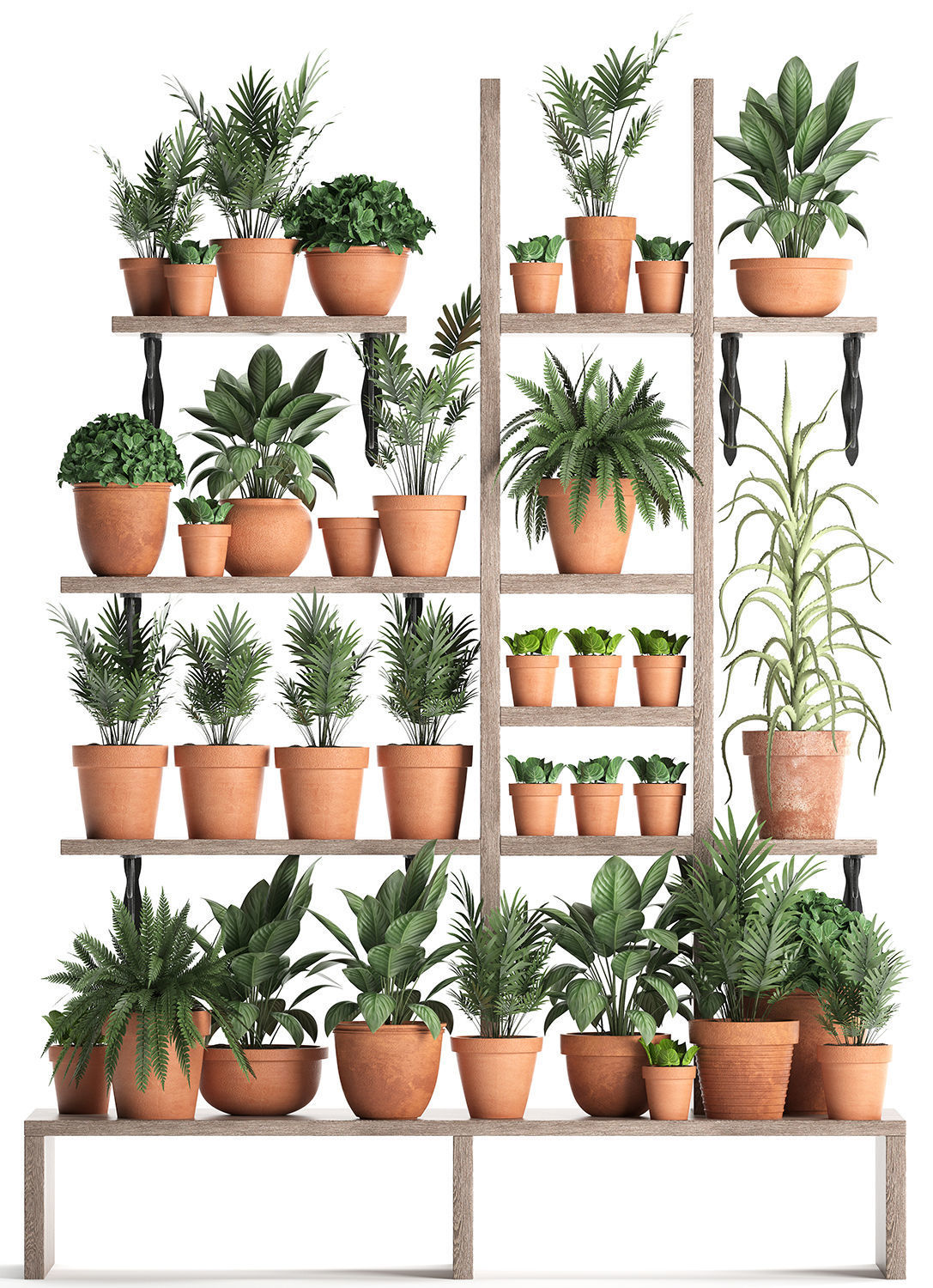 Plants collection Vertical gardening 27 3D model_2