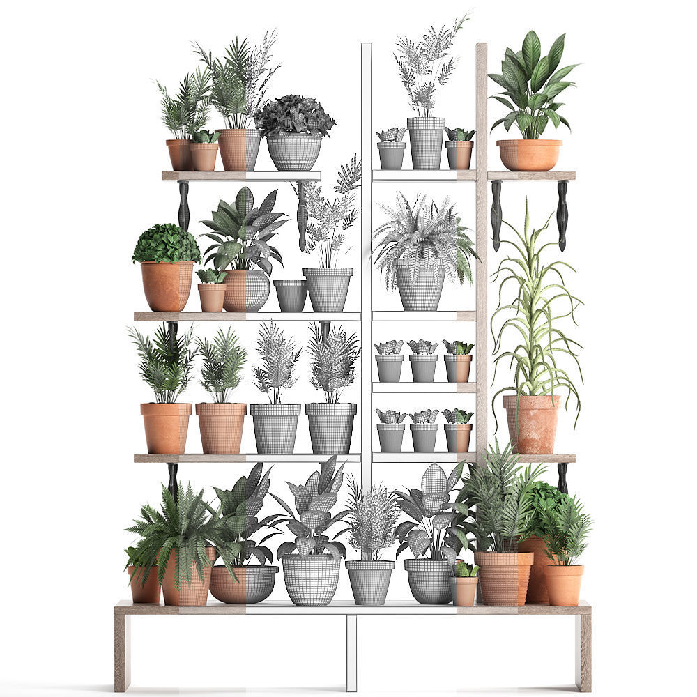 Plants collection Vertical gardening 27 3D model_6