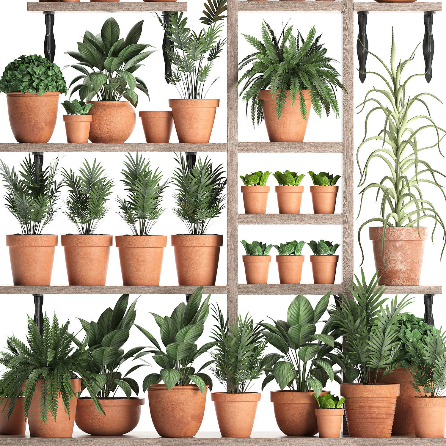 Plants collection Vertical gardening 27 3D model_4