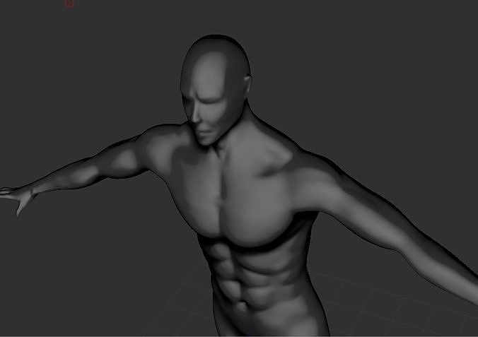 Male High Poly Character Anatomy Free 3D model