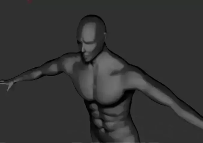 Male High Poly Character Anatomy