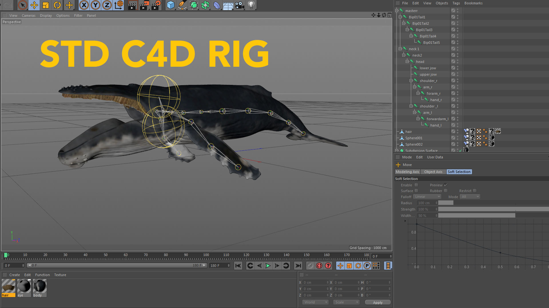 hump whale rigged  Low-poly 3D model_18