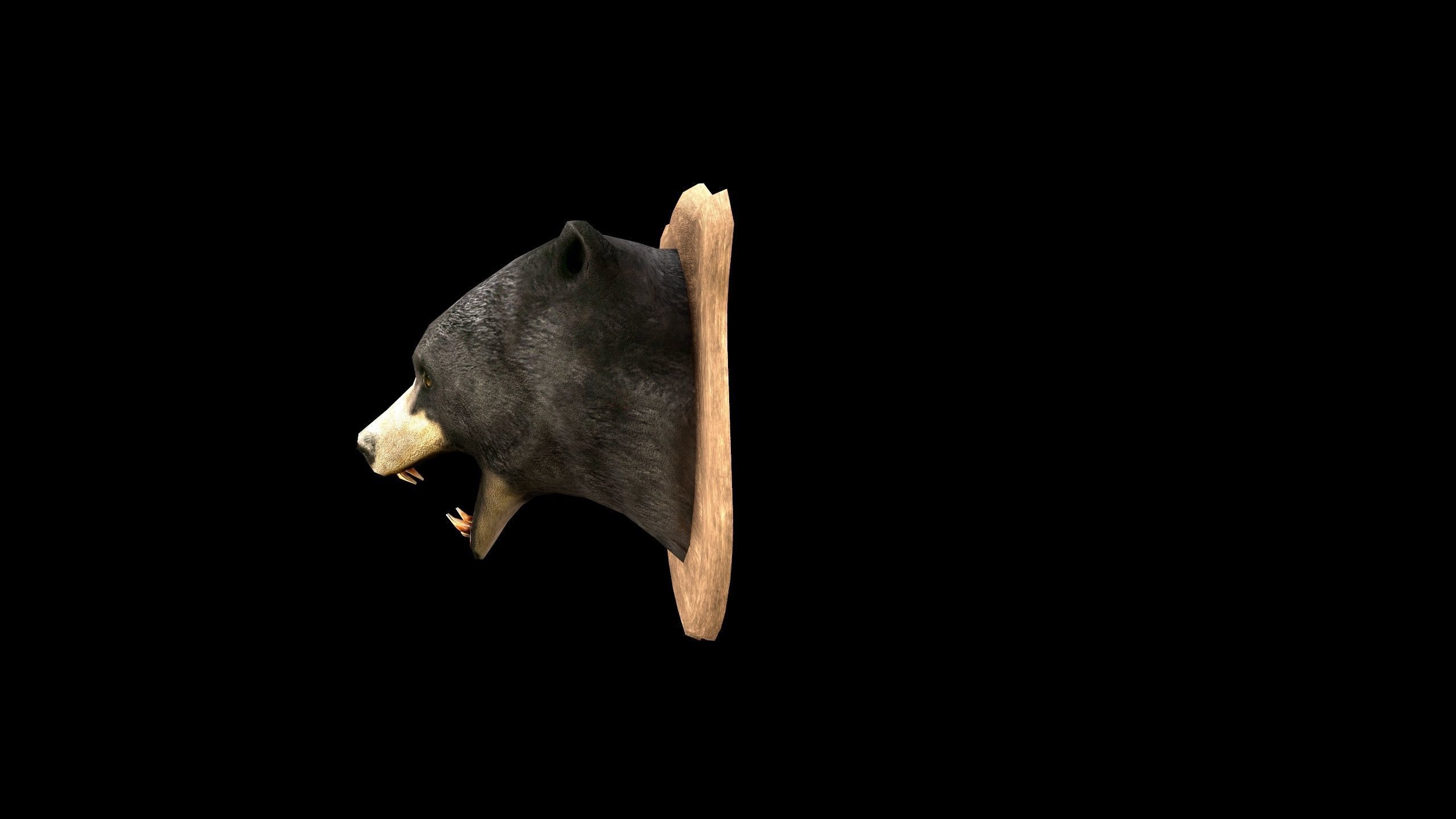 Bear Head - PBR - Textured Low-poly 3D model_7