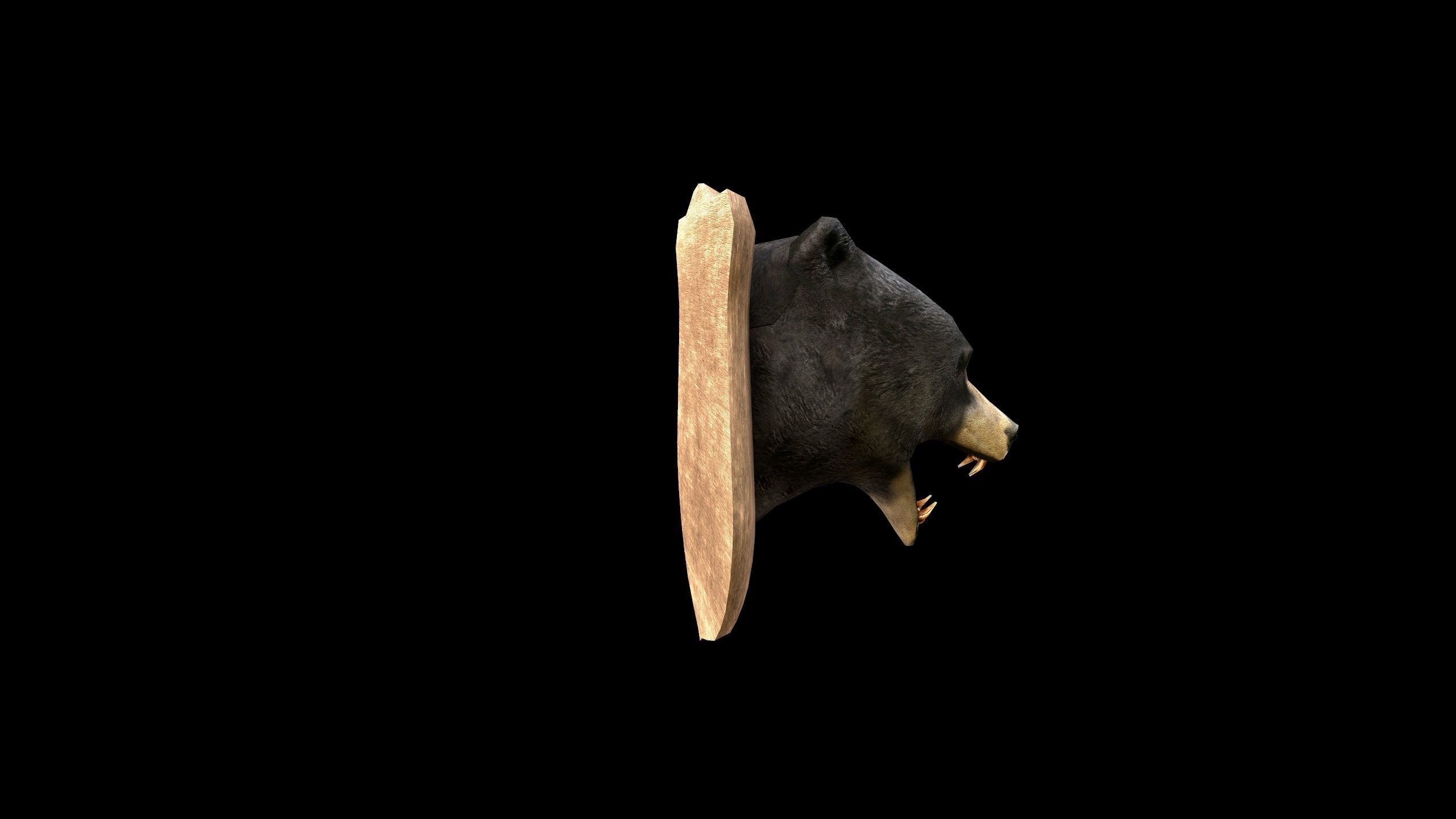 Bear Head - PBR - Textured Low-poly 3D model_4
