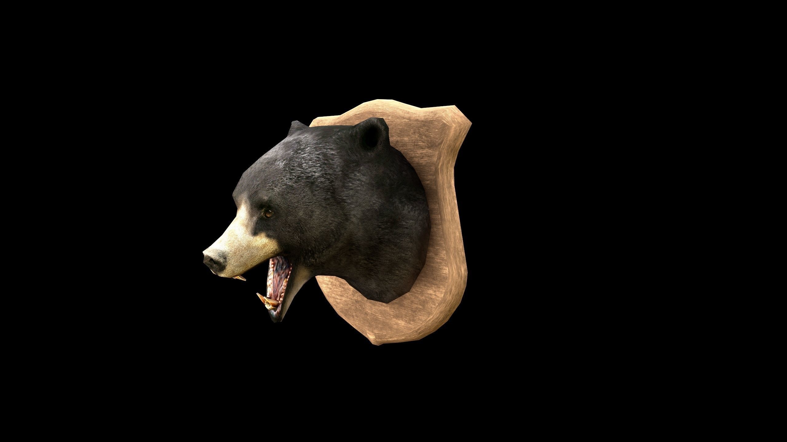 Bear Head - PBR - Textured Low-poly 3D model_8