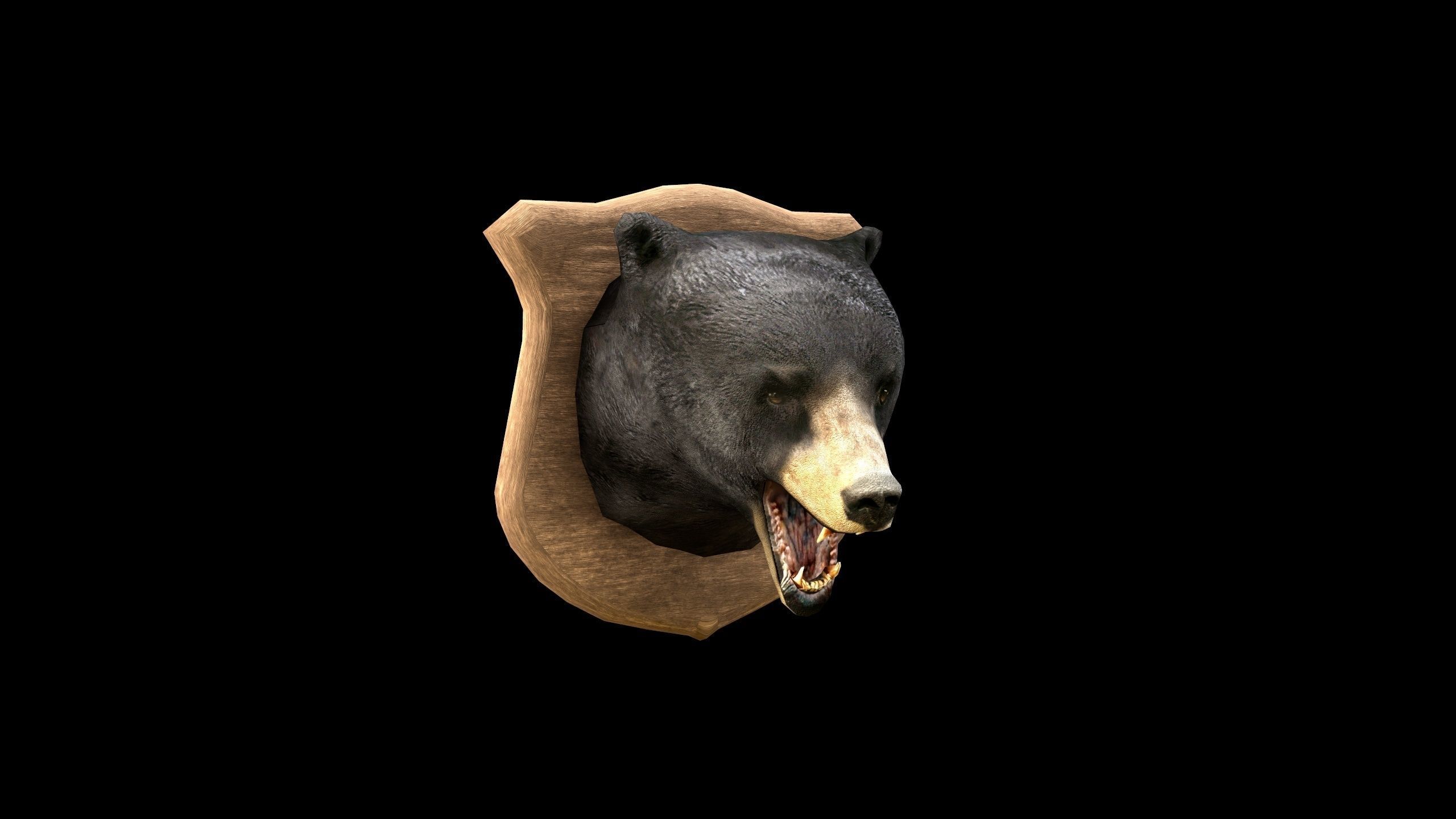 Bear Head - PBR - Textured Low-poly 3D model_2
