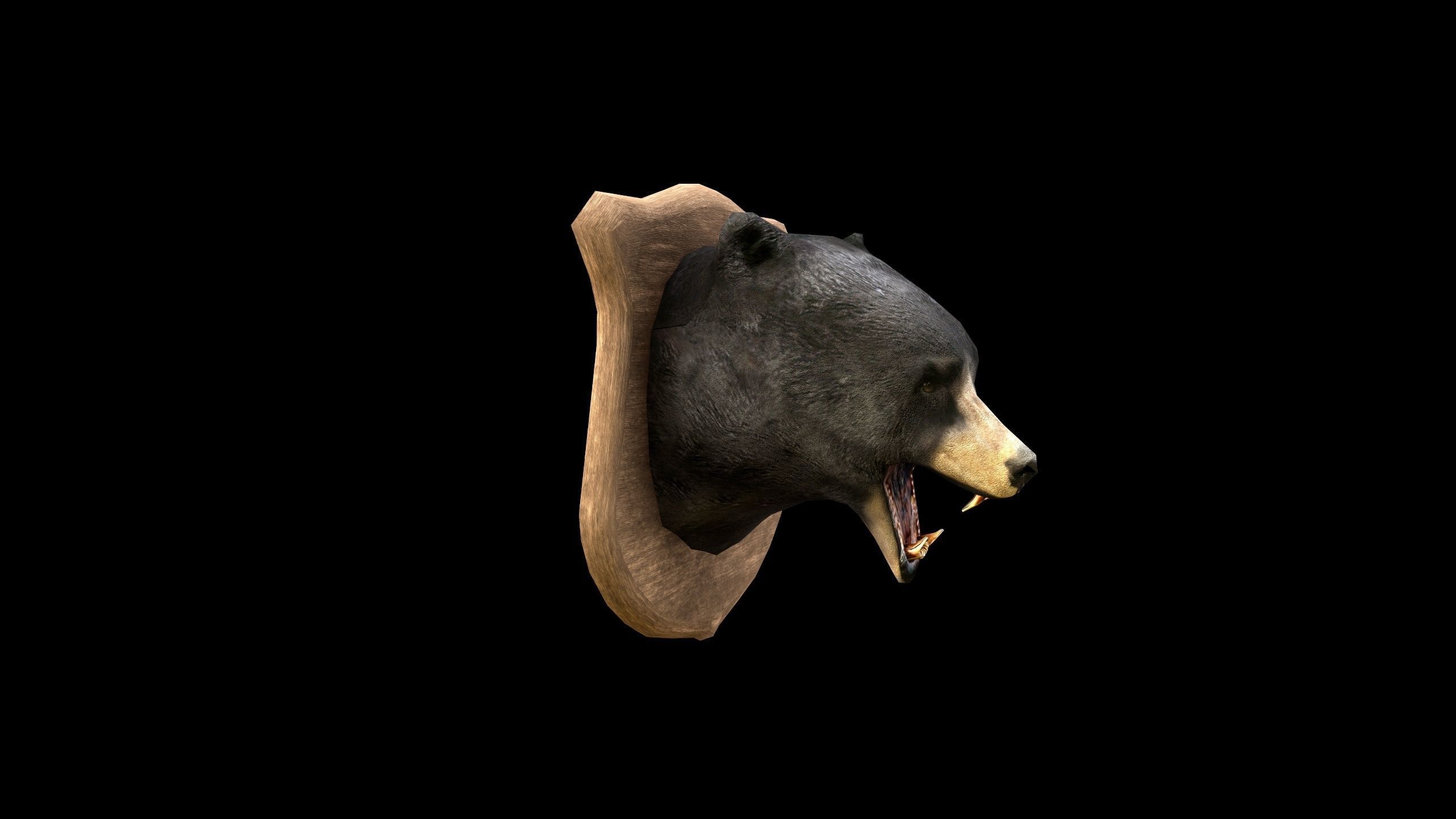 Bear Head - PBR - Textured Low-poly 3D model_3