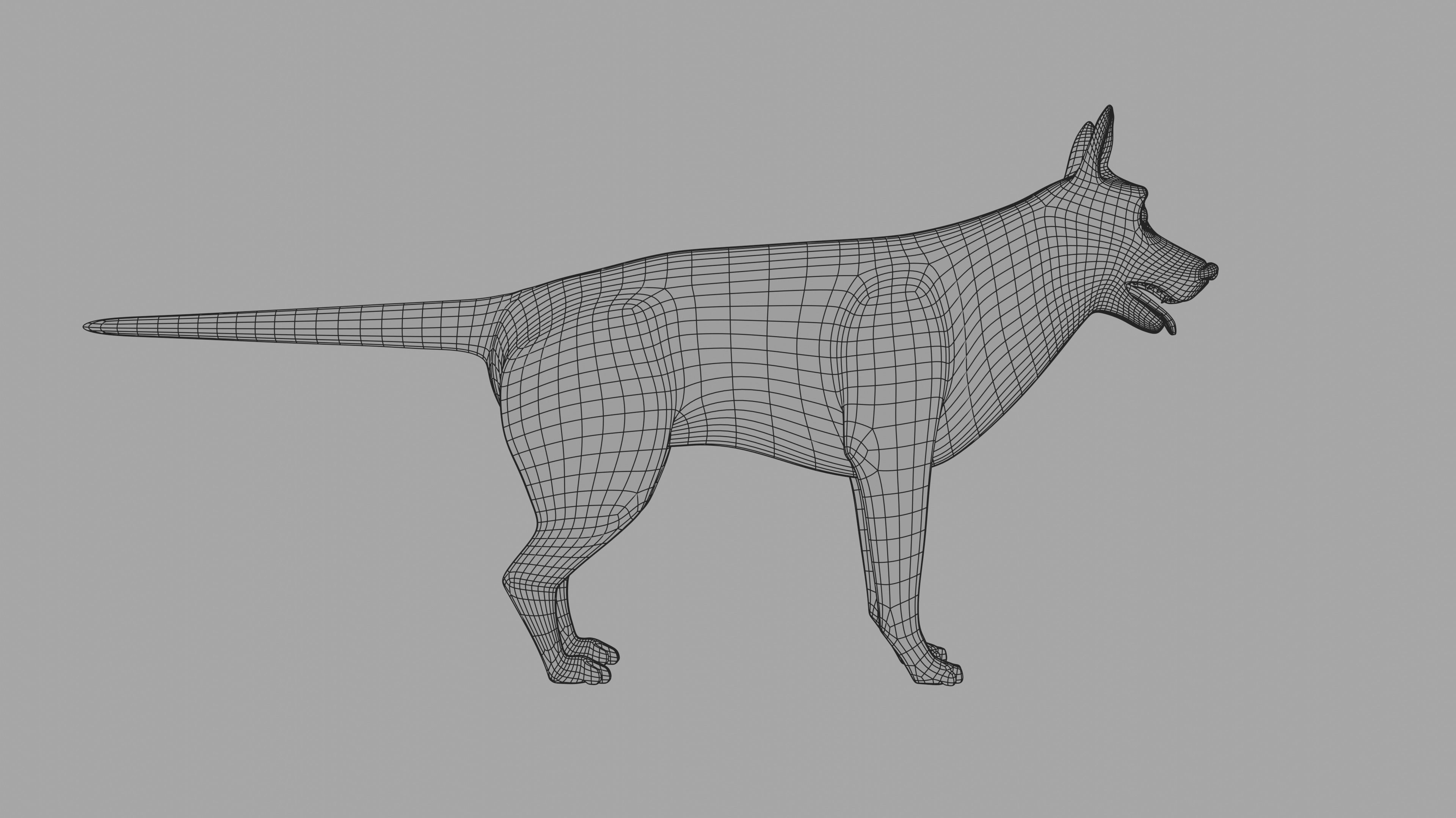 Wrigley the Dog Model 3D model_6