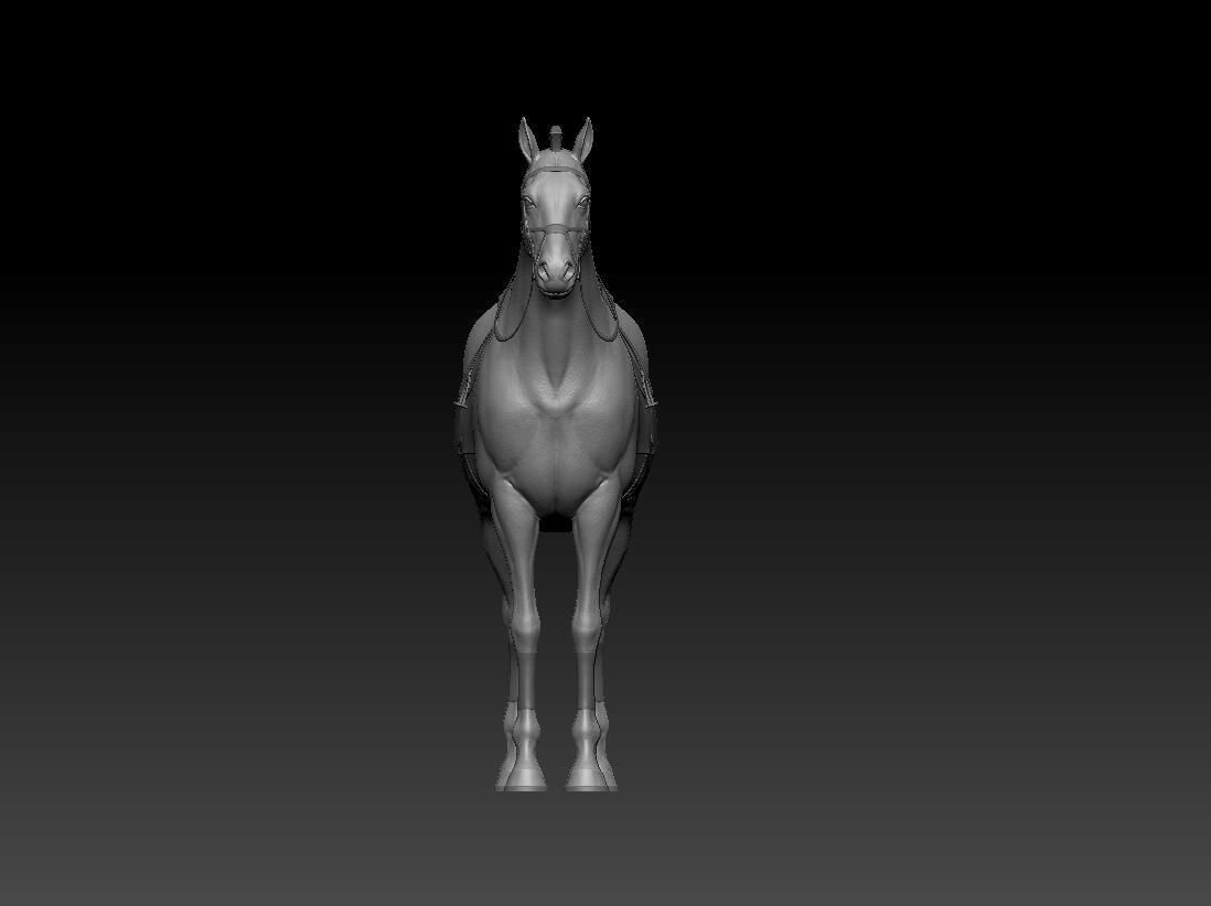 zbrush horse Low-poly 3D model_4