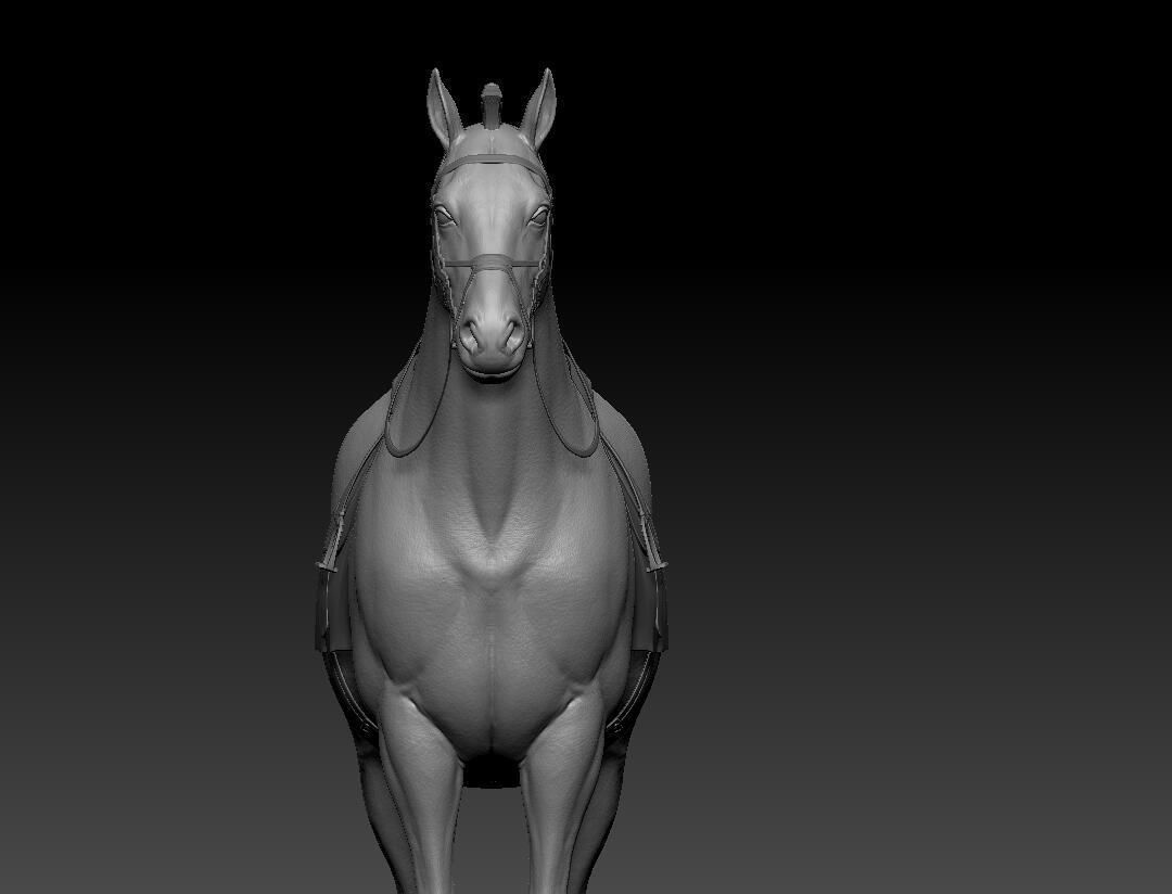 zbrush horse Low-poly 3D model_6