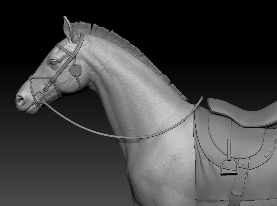 zbrush horse Low-poly 3D model_7