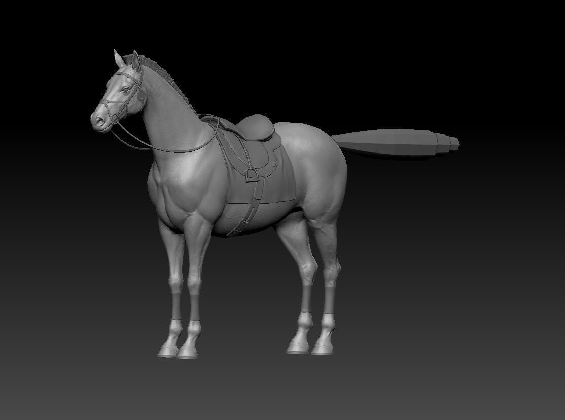 zbrush horse Low-poly 3D model_3
