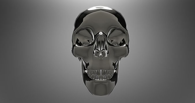 Human Skull
