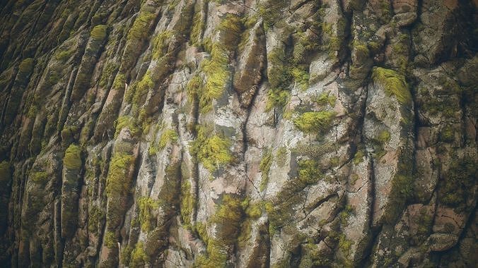 Mossy Rock Material Texture