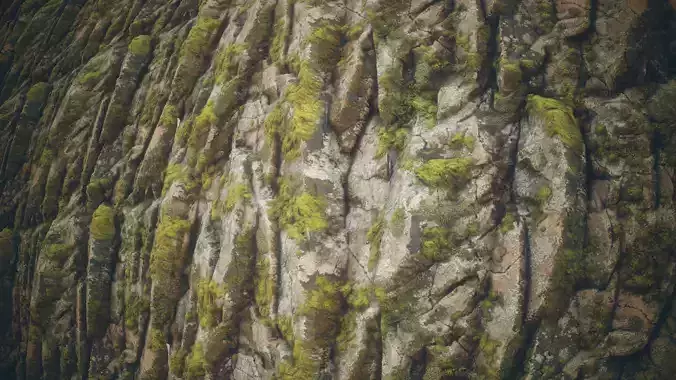 Mossy Rock Material Texture