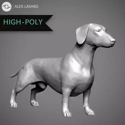 Dachshund High-Poly 3D print model
