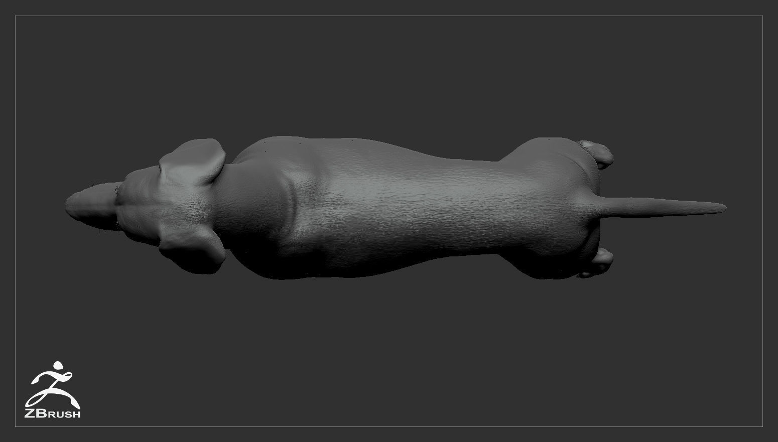 Dachshund High-Poly 3D print model_4