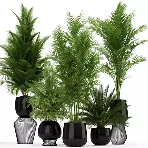Plants collection 184 3D model